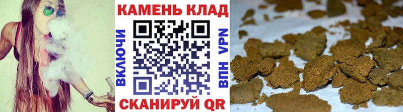 ГАШ Premium  Купить  Жиздра 