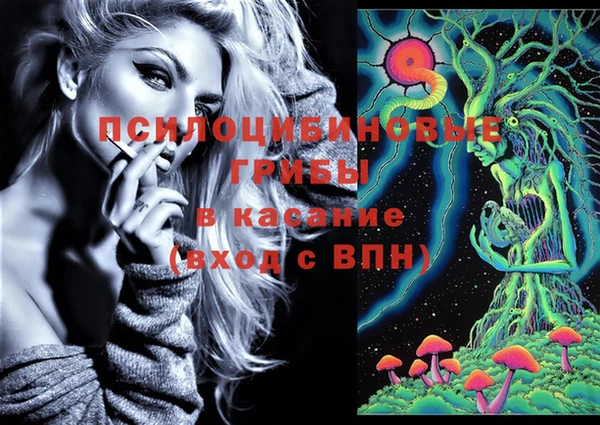 дмт Каменногорск