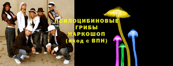 дмт Каменногорск