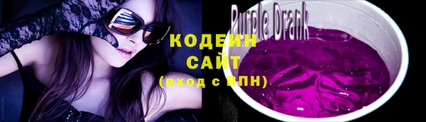 apvp Каменка