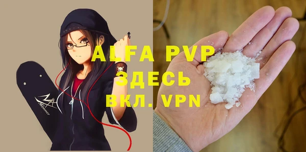 apvp Каменка