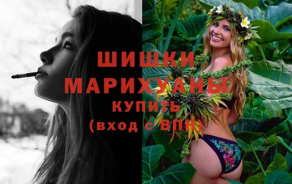 apvp Каменка