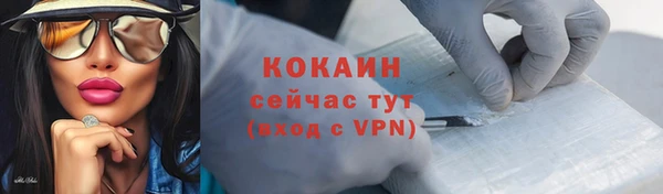 apvp Каменка