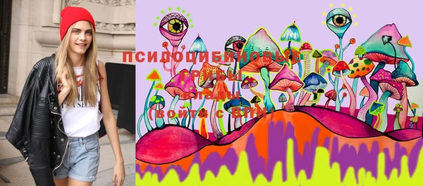 apvp Каменка