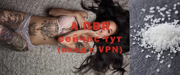 дмт Каменногорск