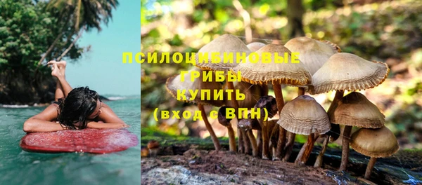 каннабис Каменск-Шахтинский