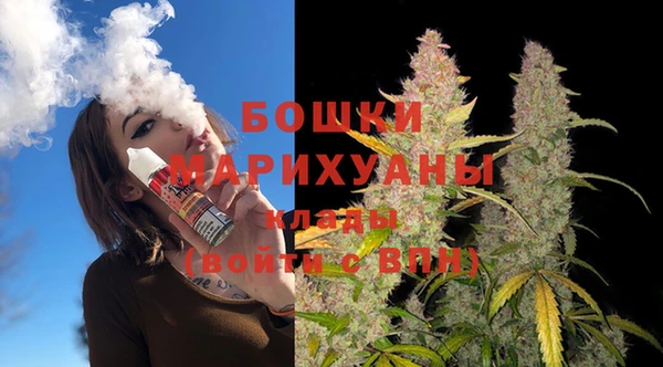 дмт Каменногорск