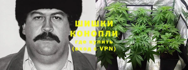 apvp Каменка