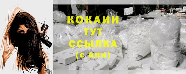 apvp Каменка