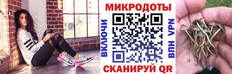 Псилоцибиновые грибы прущие грибы  Купить закладки  Жиздра 