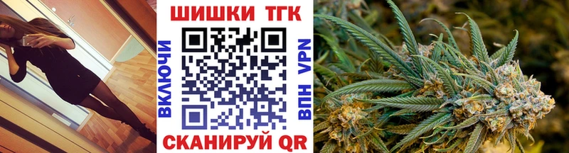 Купить закладки  Жиздра  Каннабис VHQ 